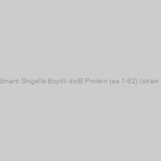 Image of Recombinant Shigella Boydii dsrB Protein (aa 1-62) (strain Sb227)